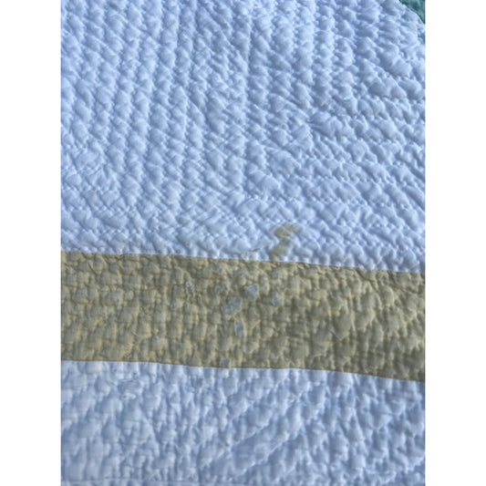 1930 North Carolina or Virginia Lily Hand Pieced & Finely Quilted Quilt