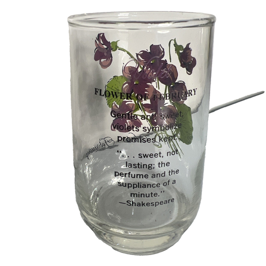 Drnking Glass 1950s Brockway Flower of The Month Violet February