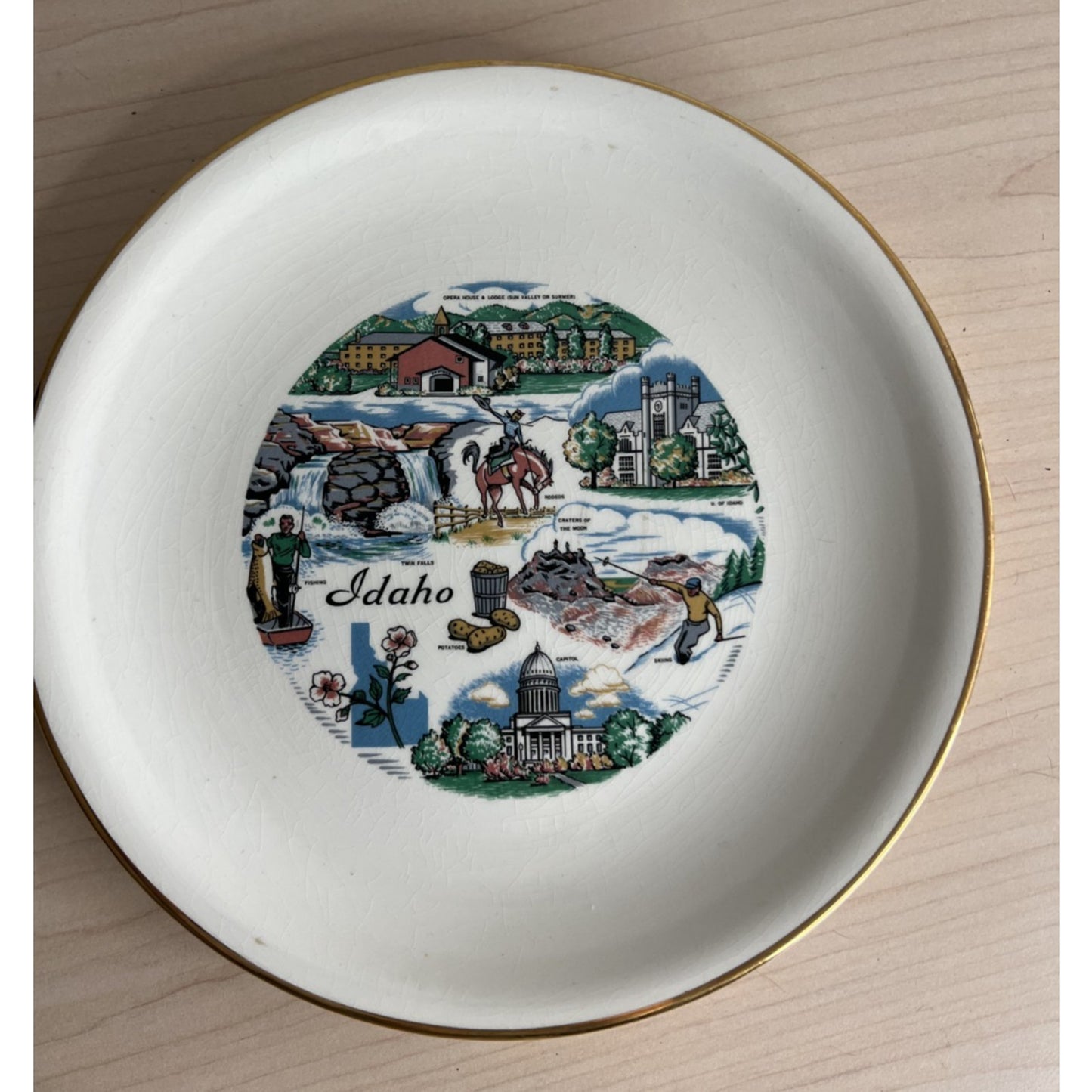 Vintage Wheeling Souvenir Plate Idaho Transfer Gold Detail WV USA